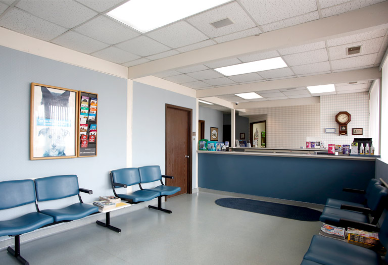 Hospital Tour Omaha Animal Hospital