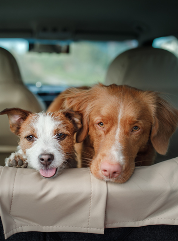 omaha, ne pet vaccinations