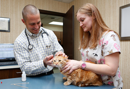 omaha pet wellness, vaccinations