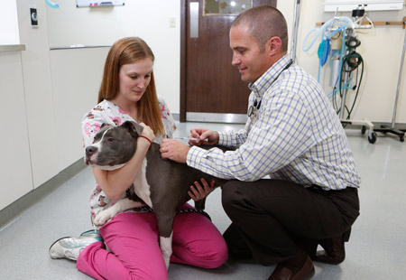 Omaha Pet Wellness Services | Exotic Animal Care | Omaha Pet Vaccines