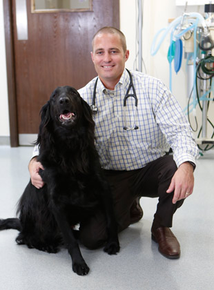 omaha veterinarian care, ne